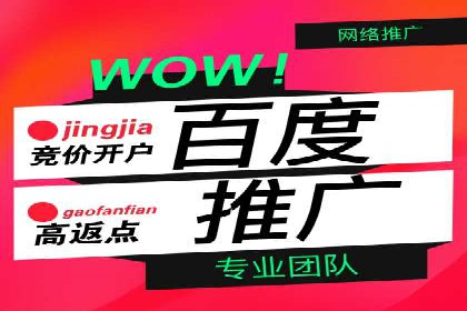 SEM优化师实战：助力企业实现低成本高回报